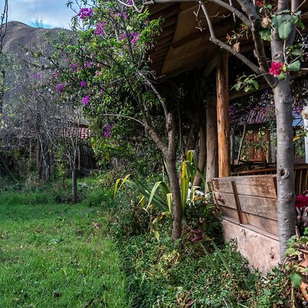 Eco Lodge Los Perales-Urubamba Zewnętrze zdjęcie