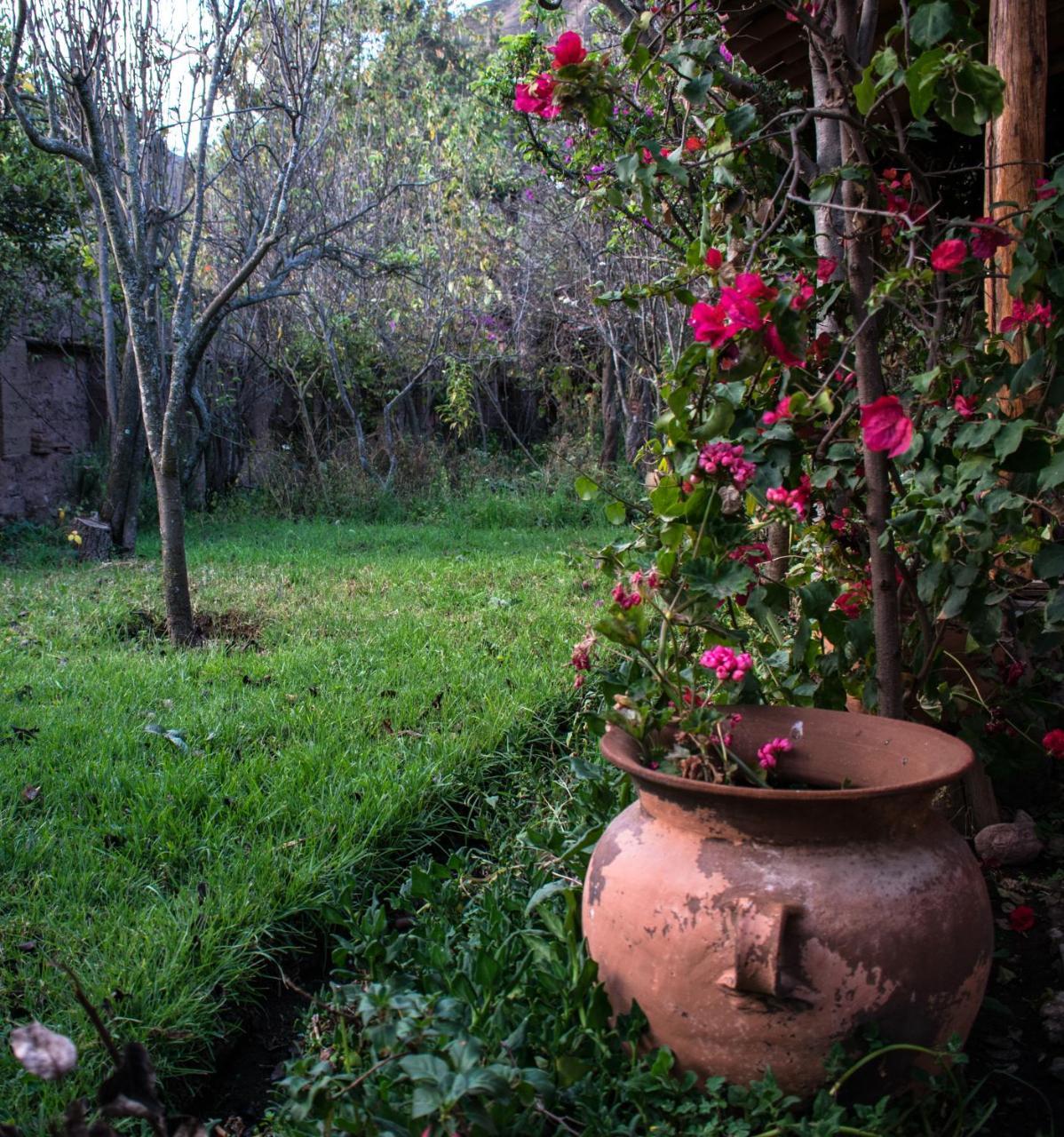 Eco Lodge Los Perales-Urubamba Zewnętrze zdjęcie