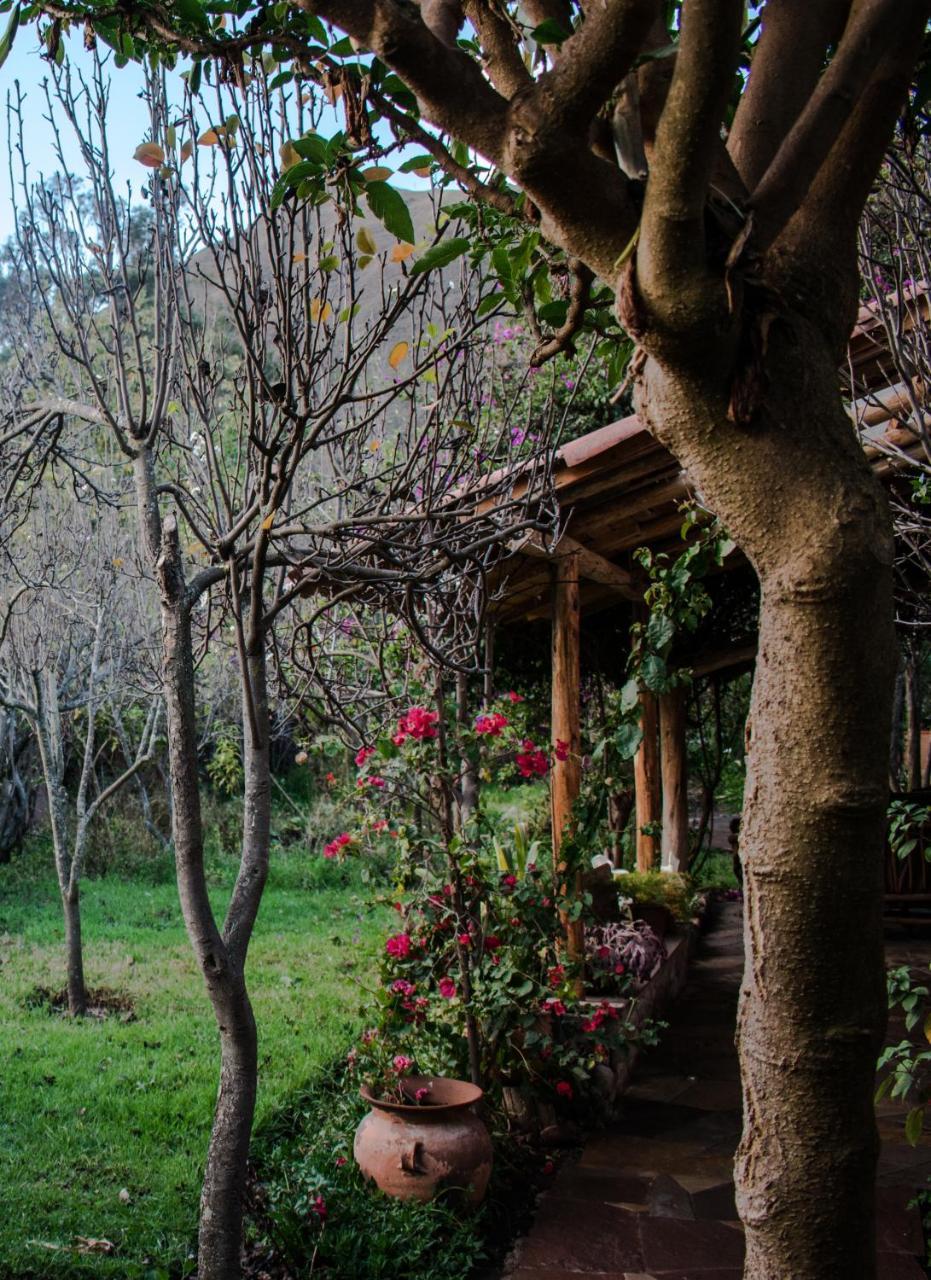 Eco Lodge Los Perales-Urubamba Zewnętrze zdjęcie